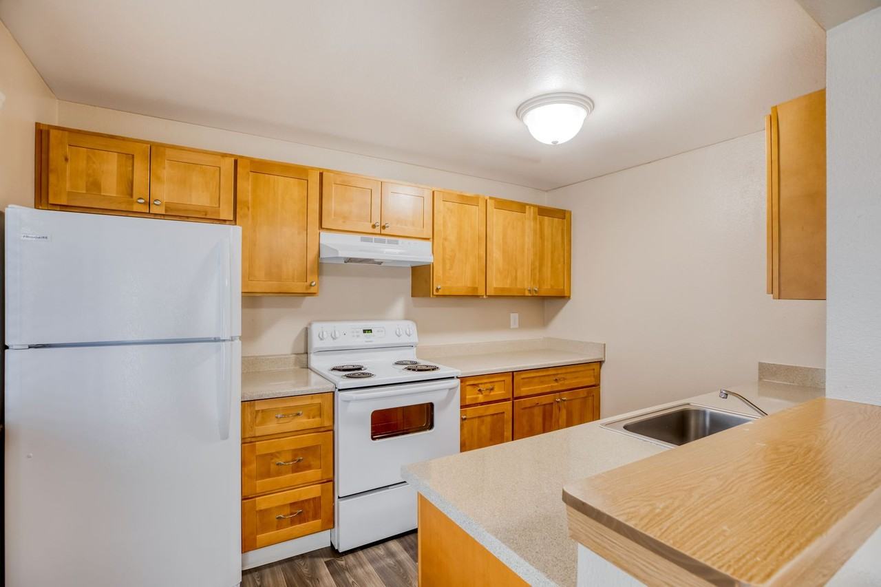 Alta Apartments - Photo 4 of 22
