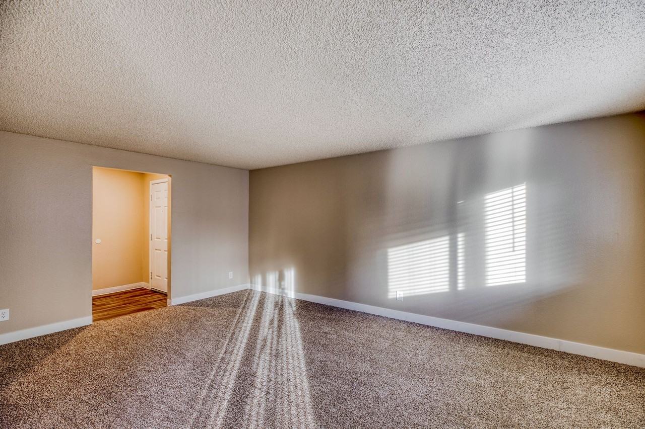 Alta Apartments - Photo 7 of 22
