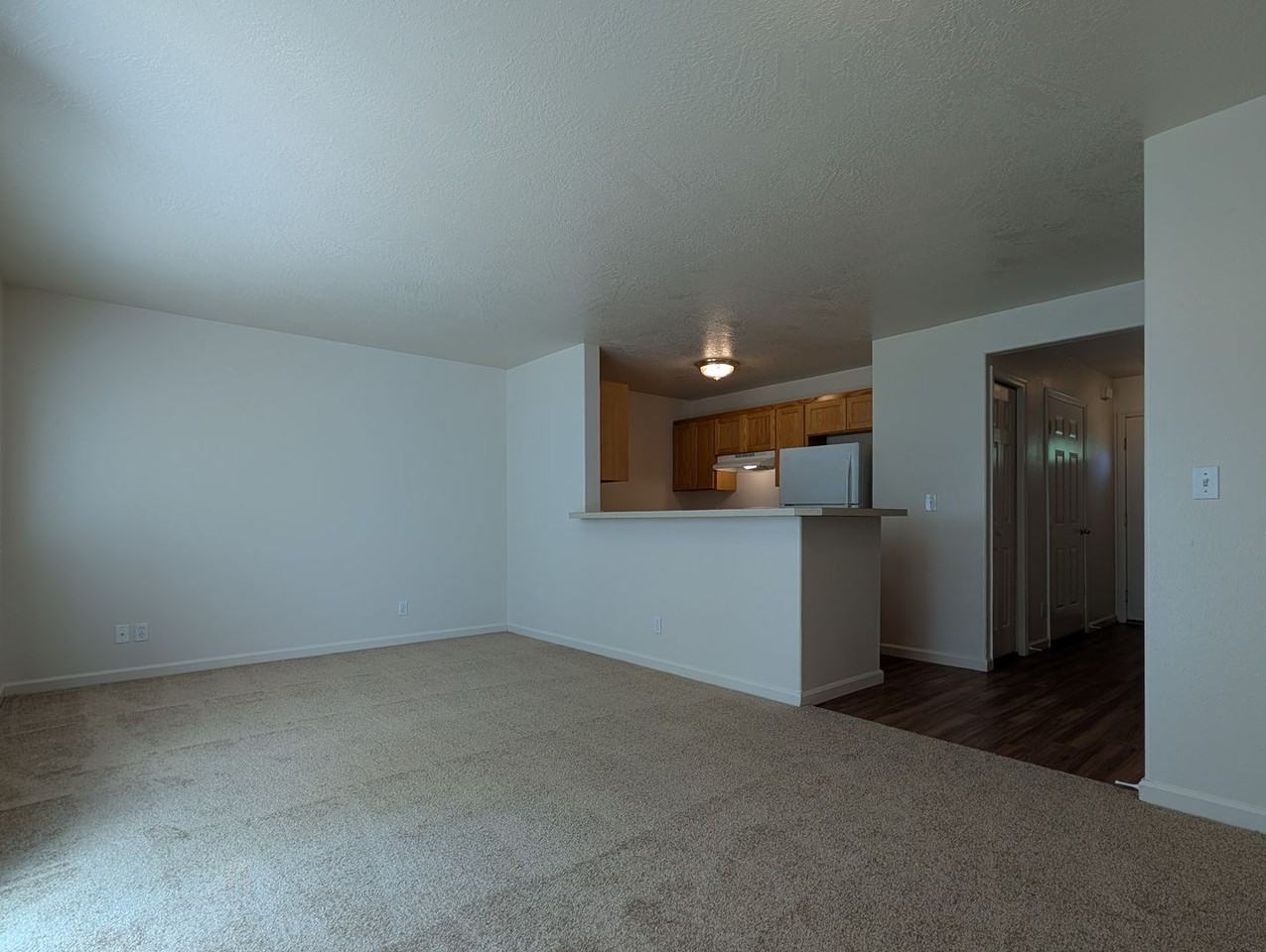 5949 Aster St - Photo 6 of 19