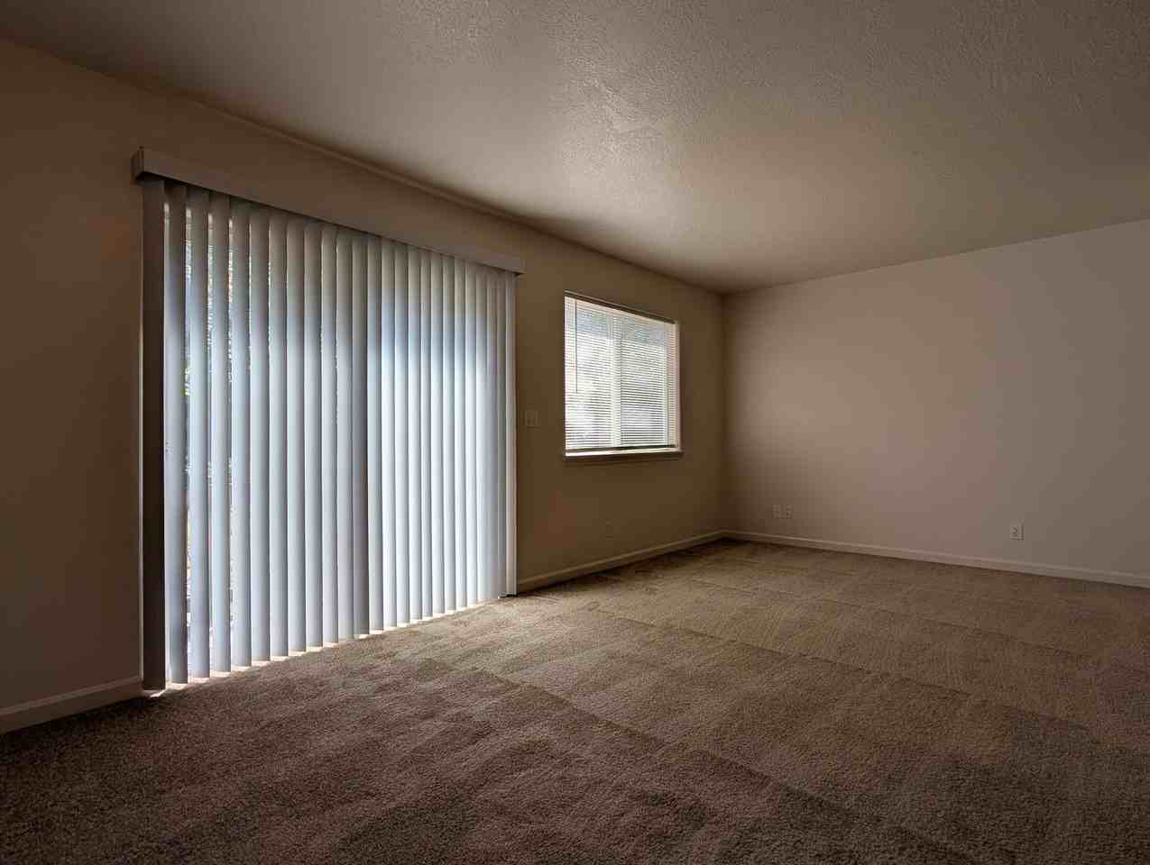 5949 Aster St - Photo 7 of 19
