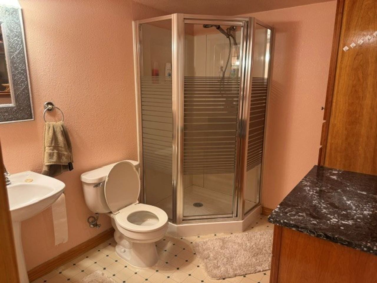 3905 Buckthorn Dr - Photo 5 of 7
