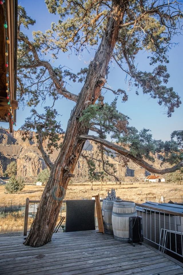 6690 Old Ranch House Rd - Photo 3 of 50