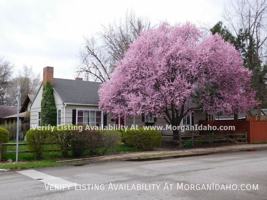 featured image of 1501 W Dewey St