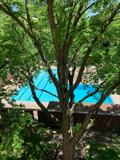 2901 S Michigan Ave - Photo 1 of 1