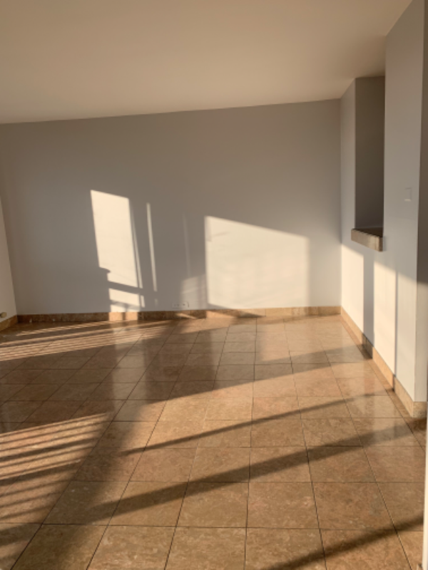 2901 S Michigan Ave - Photo 3 of 20
