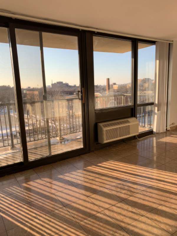 2901 S Michigan Ave - Photo 4 of 20