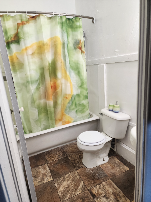 744 W William St #2ndFL - Photo 4 of 7