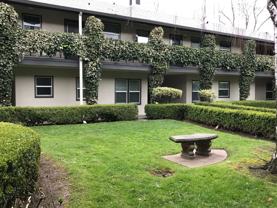 Courtyard at Pacific - Photo 1 of 1