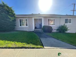 featured image of Baden/ Magnolia Ave