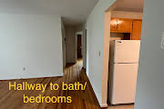 437 Betsy Bell Apartments #A3 - Photo 5 of 8