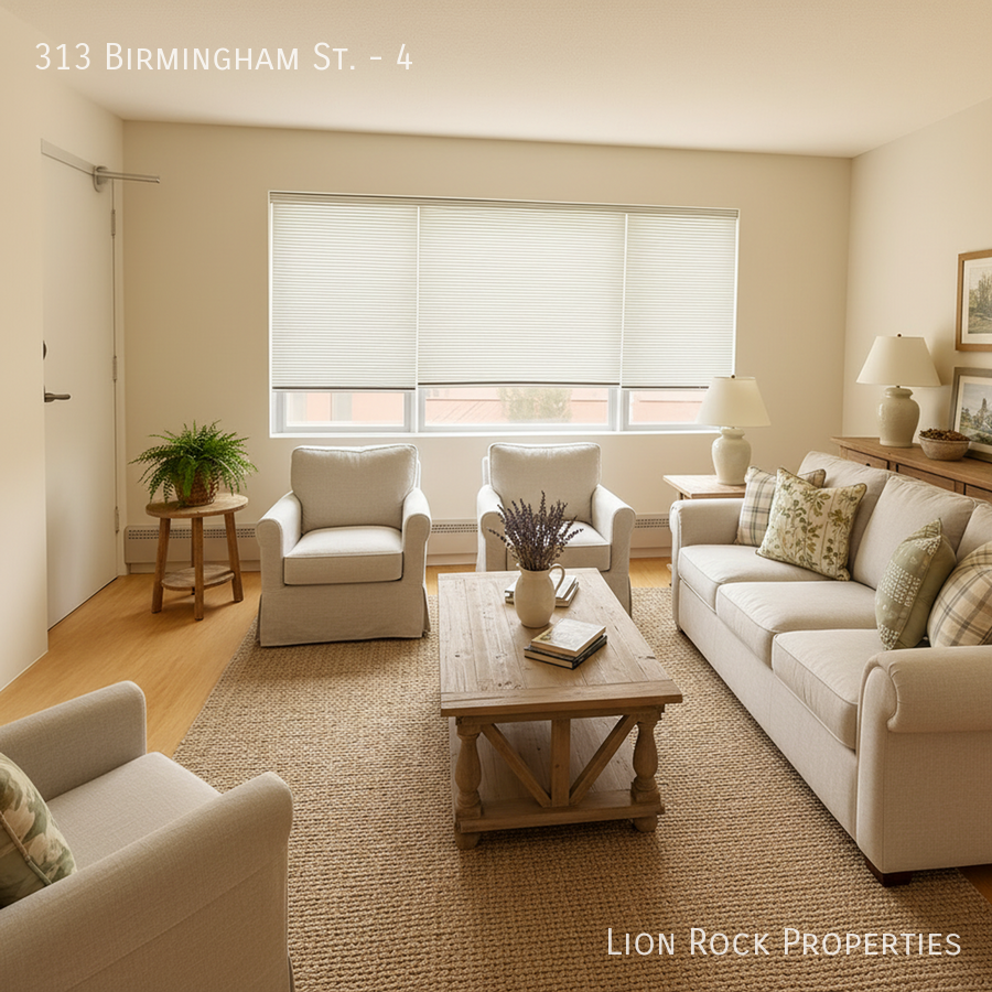 313 Birmingham St #4