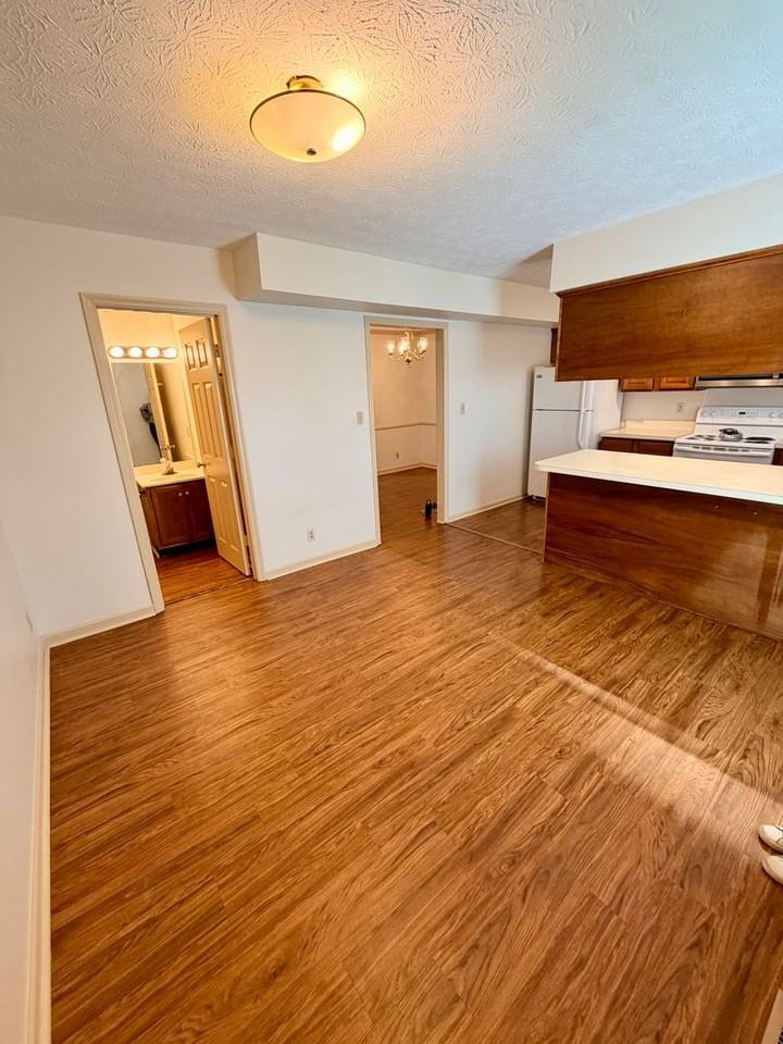 137 Spring Run St - Photo 2 of 20