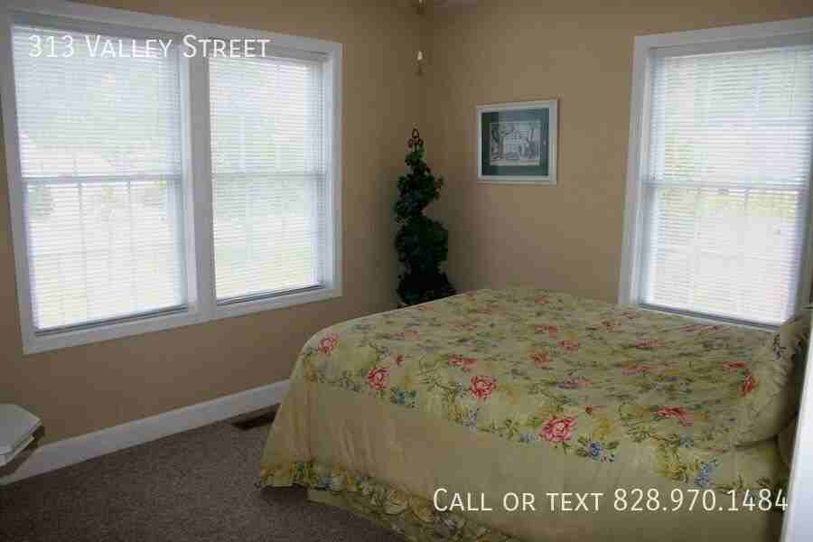 313 Valley St - Photo 7 of 8