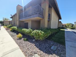 featured image of 31200 Landau Blvd #703