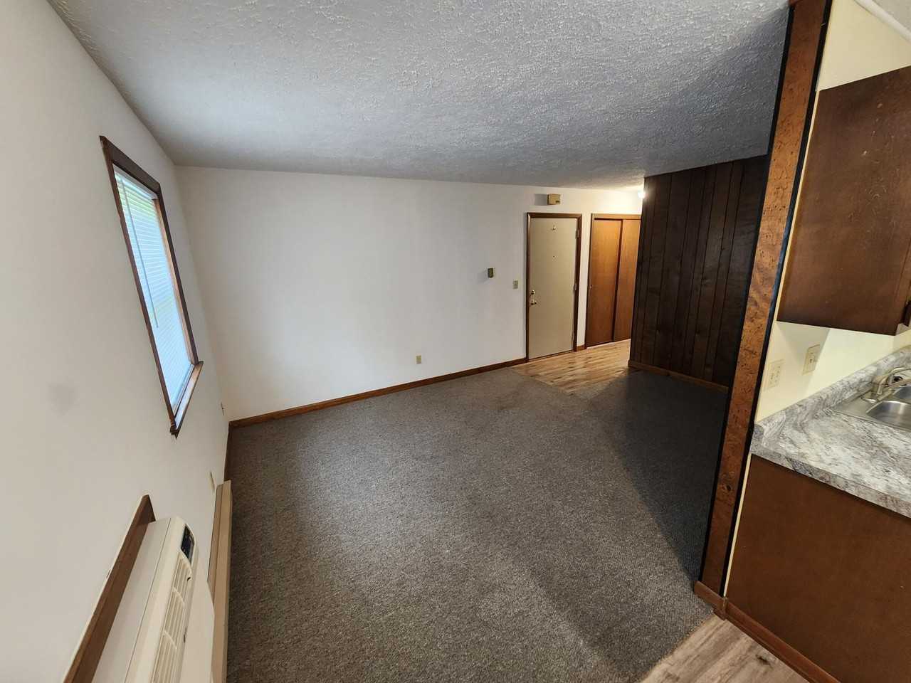 306 W Wilson St #2 - Photo 7 of 8