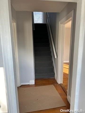 9 Grange St - Photo 4 of 23