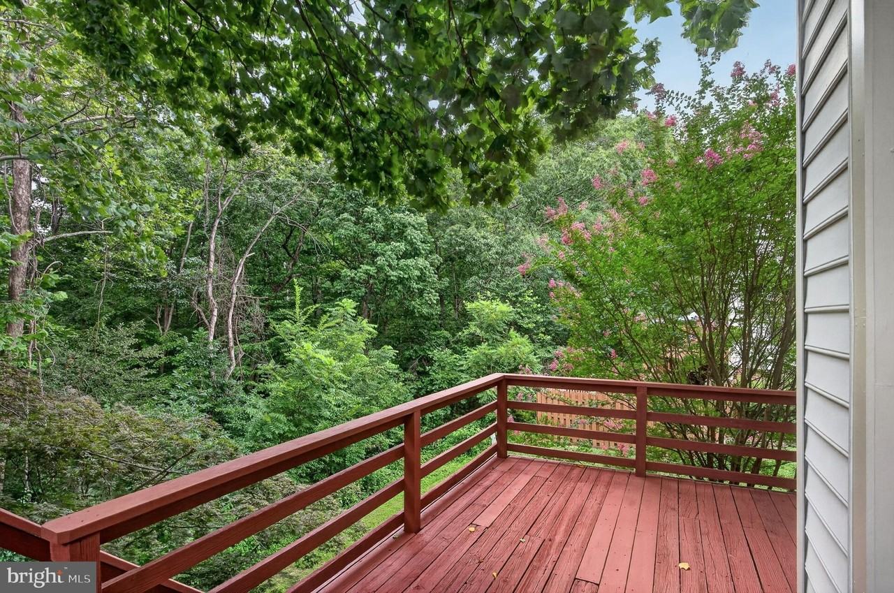 14560 Creek Branch Ct - Photo 6 of 41
