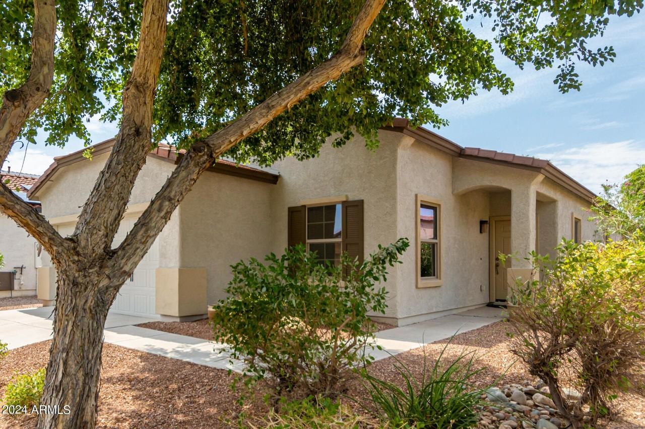 10847 W Avenida Del Rey - Photo 6 of 42