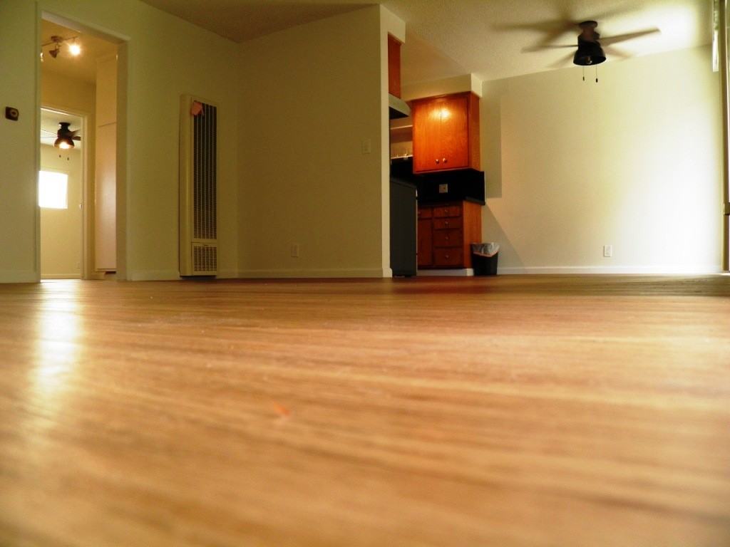 1908 11th St #5 - Photo 3 of 24