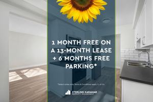 featured image of 100 Rideau St