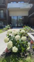 featured image of 11950 Boulevard de Pierrefonds