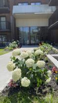 4 1/2 & 3 1/2 Condo Style, all-inclusive, spacious, pour Sept Pierrefonds - 1595$ - Photo 1 of 1