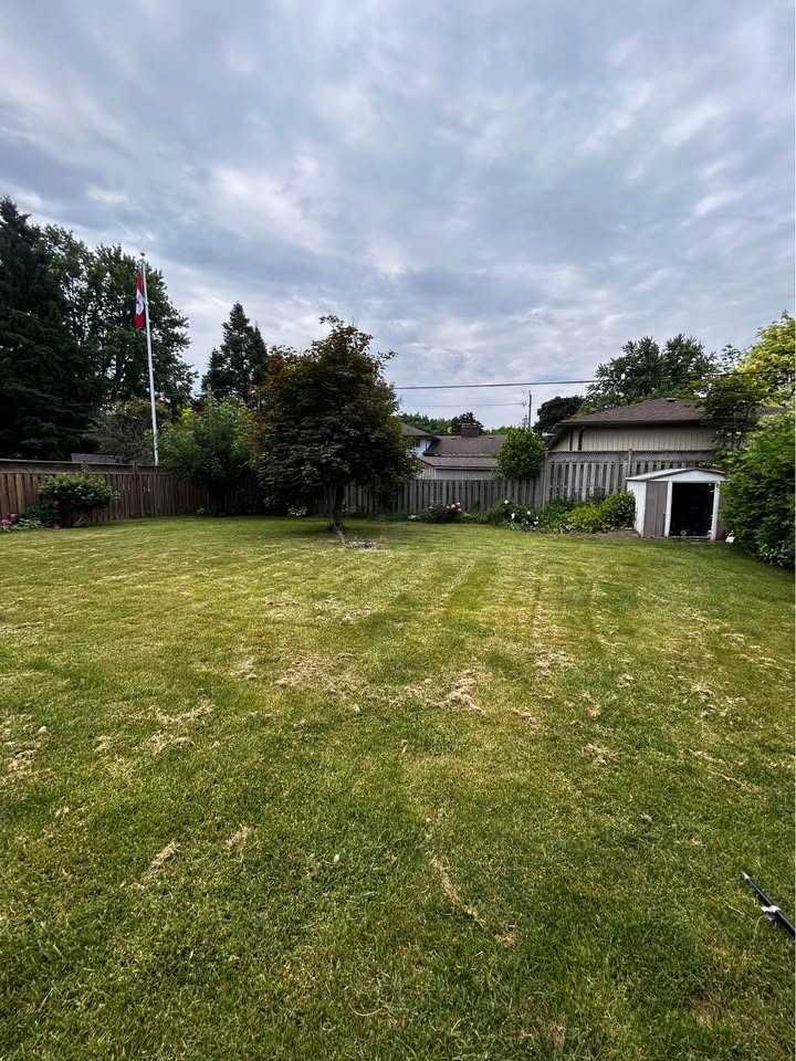 51 Collingdon Dr - Photo 6 of 19