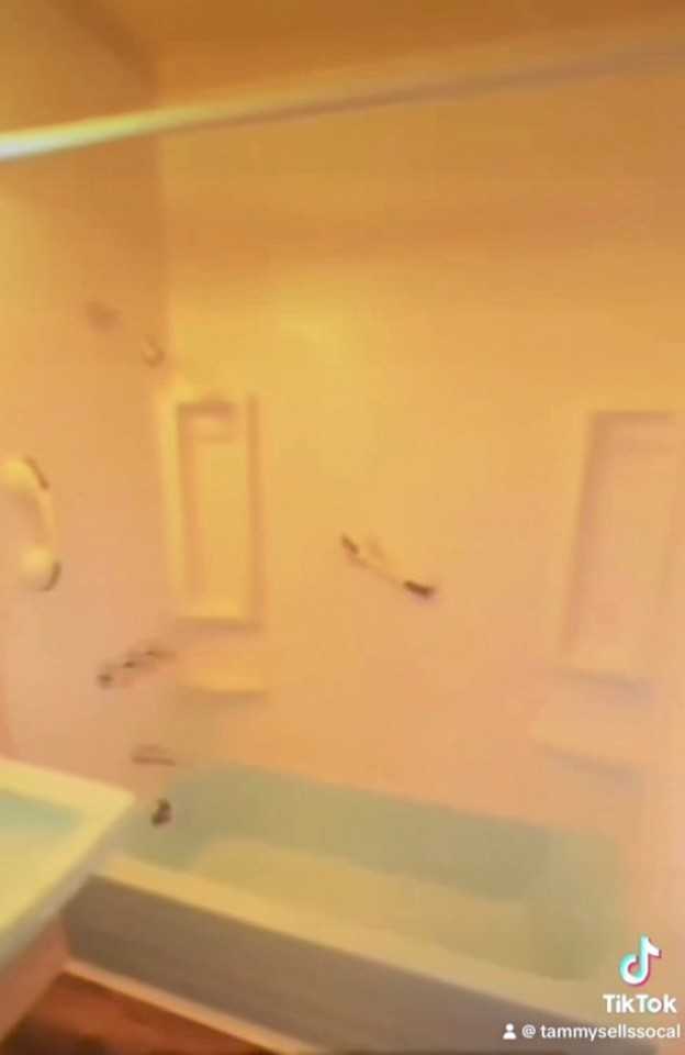 504 W Hillsdale St - Photo 4 of 9