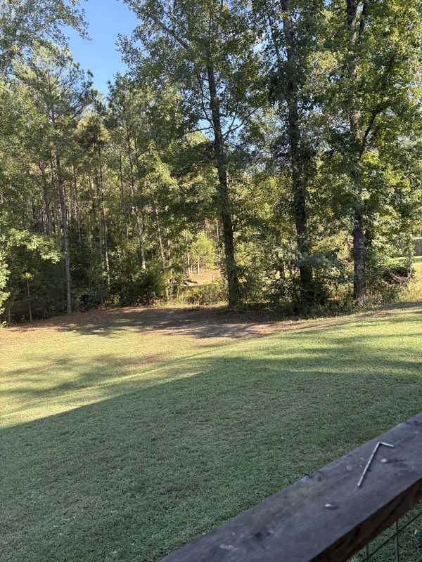 14285 Al Highway - Photo 3 of 9