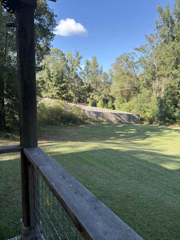 14285 Al Highway - Photo 4 of 9