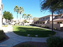 featured image of 1024 E Frye Rd #1022