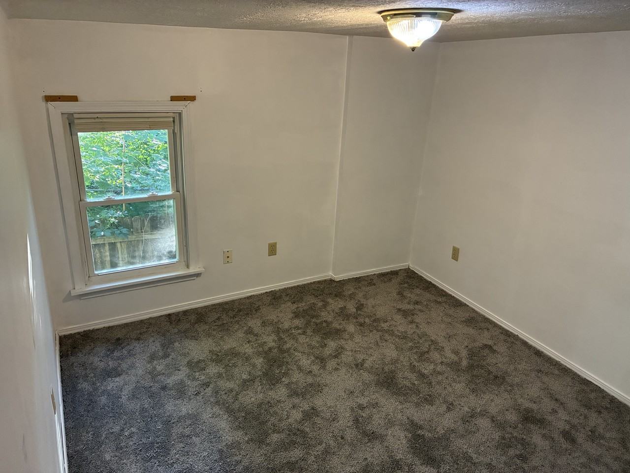 1302 Walnut St #4 - Photo 5 of 9