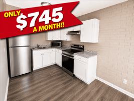 featured image of 2036 Catalpa Dr #D