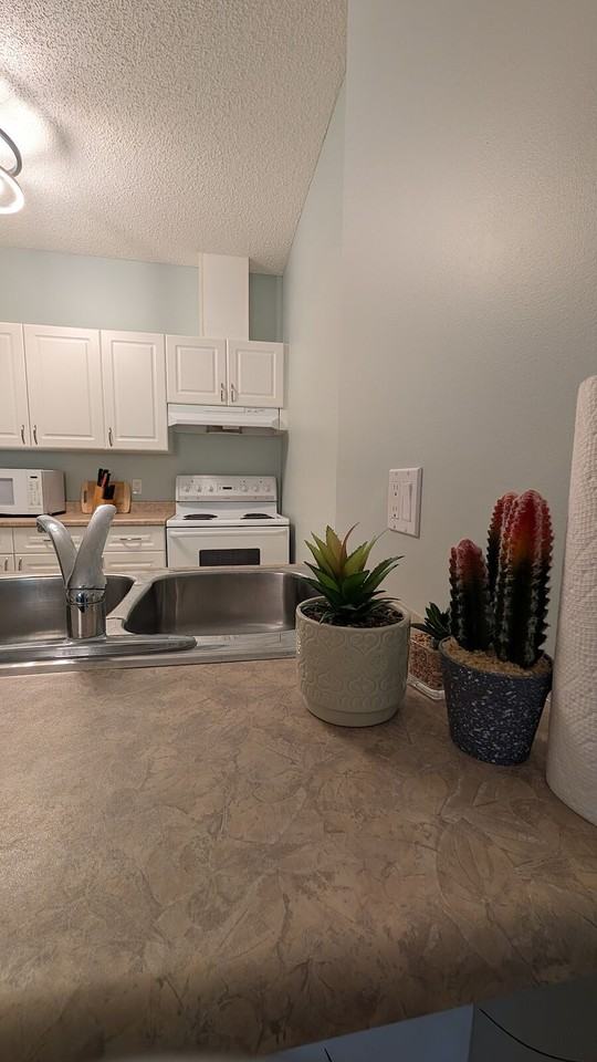 9919 105 St Nw - Photo 7 of 23