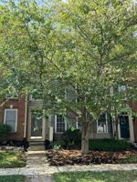 featured image of 203 Altair Way #1