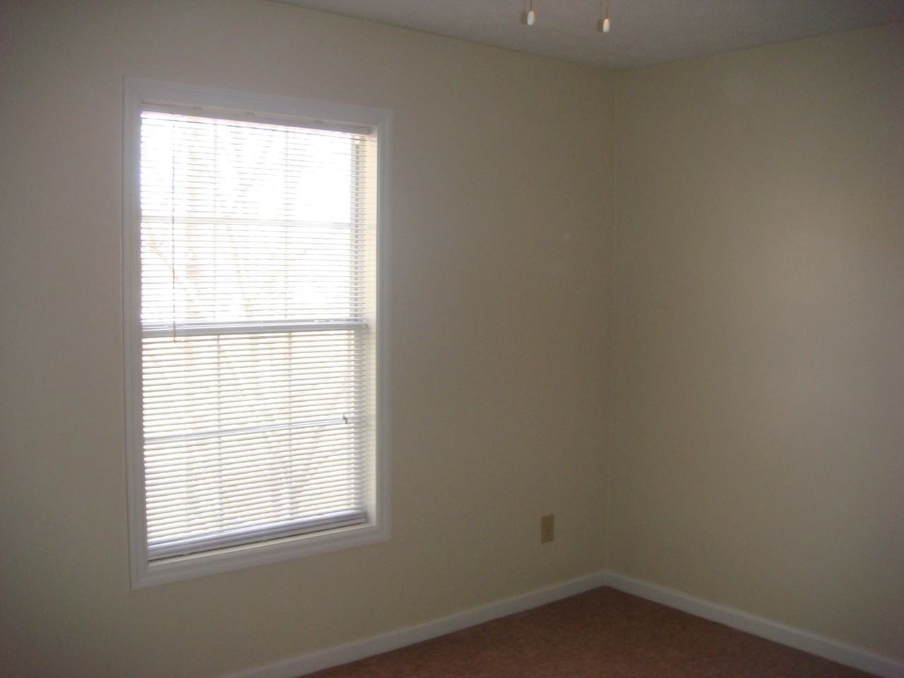 1042 Chinook St - Photo 5 of 14