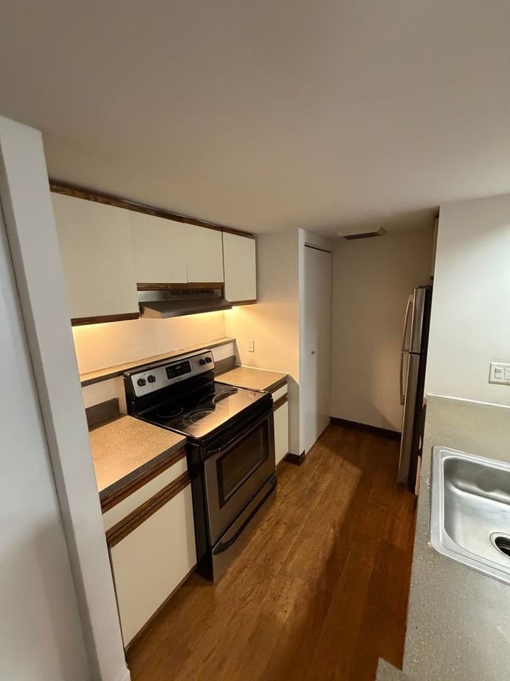 237 Chestnut St #1-411 - Photo 2 of 14