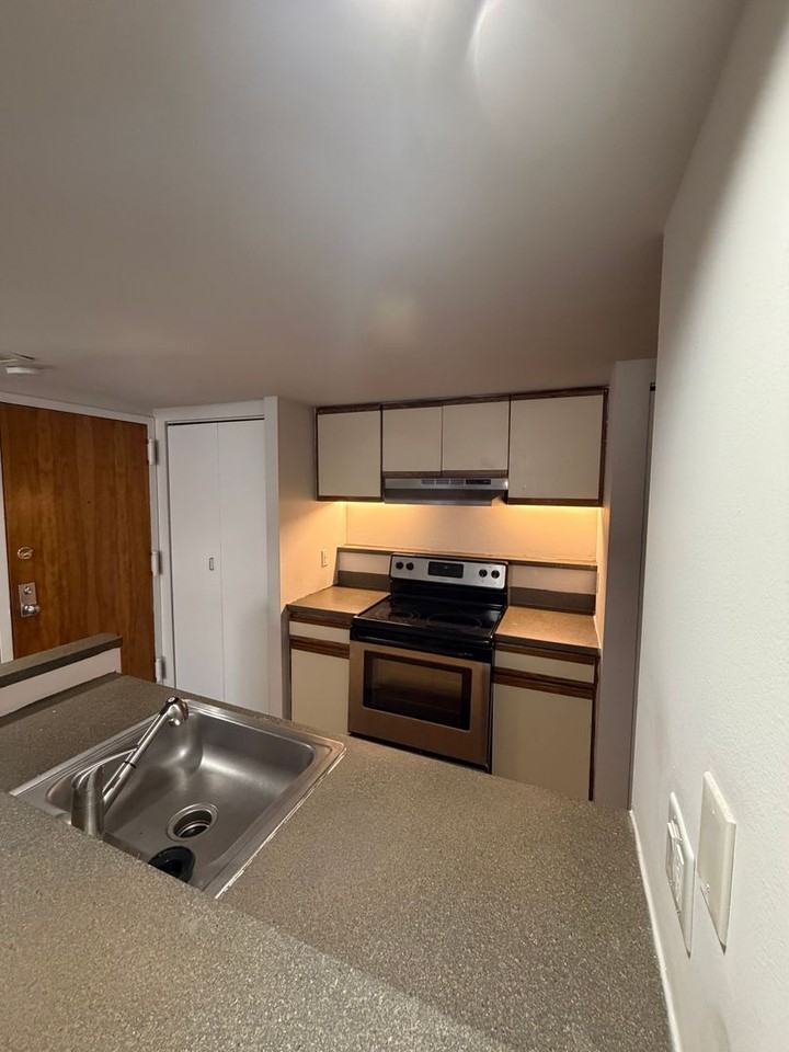 237 Chestnut St #1-411 - Photo 3 of 14