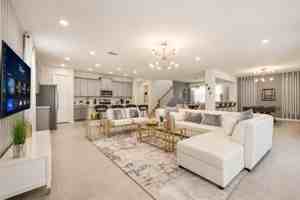featured image of Coconut Breeze Dr