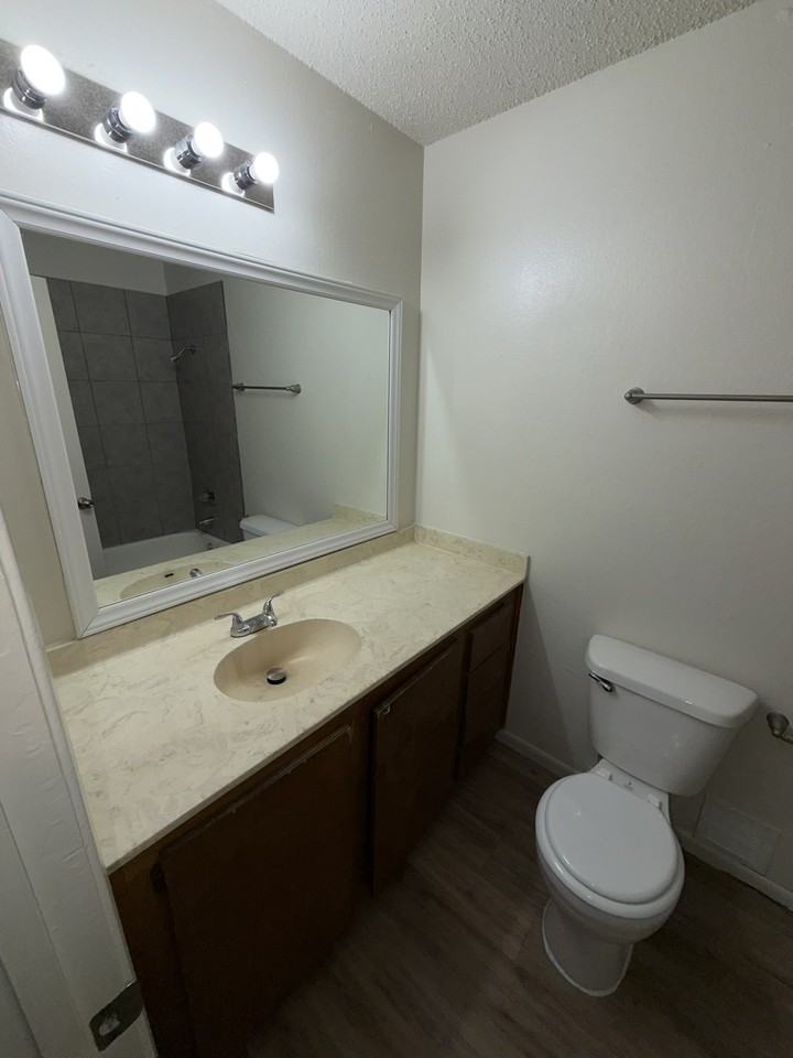 4504 Calle Nogal #B - Photo 3 of 12