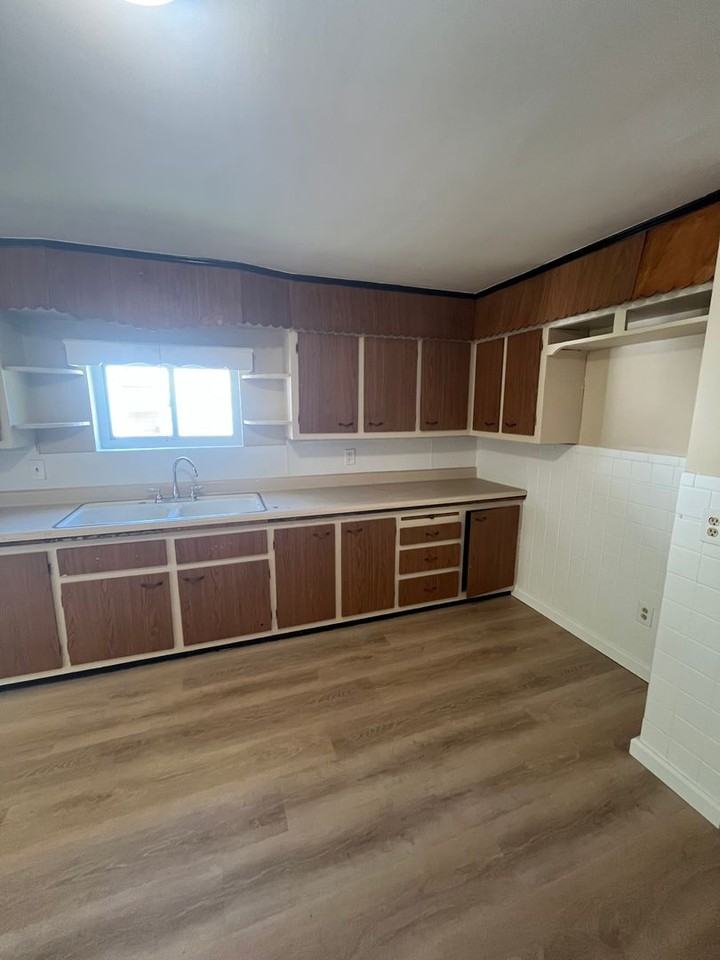 31 Ellsinore St - Photo 4 of 29