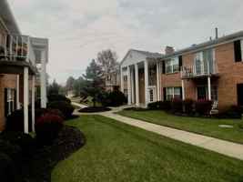 featured image of 5547 Westwood Northern Blvd