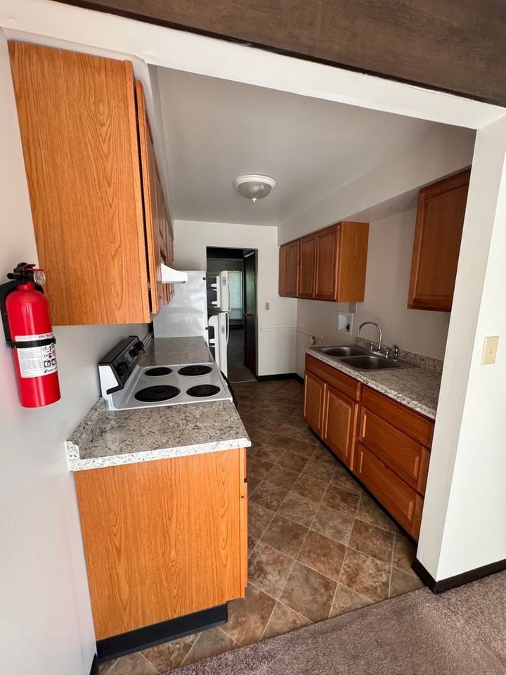 214 E Water St - Photo 6 of 20