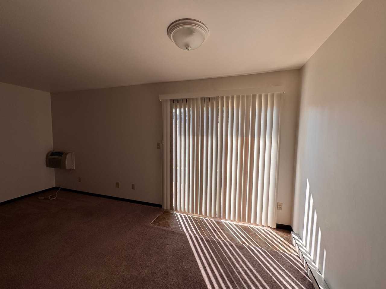 214 E Water St - Photo 7 of 20