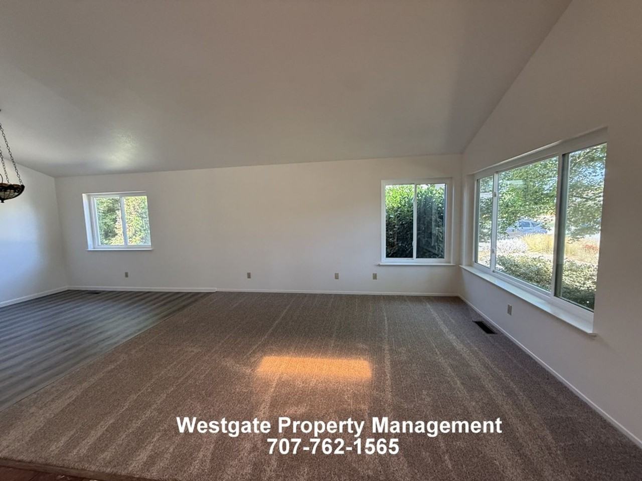 1604 Cerro Sonoma Cir - Photo 2 of 20