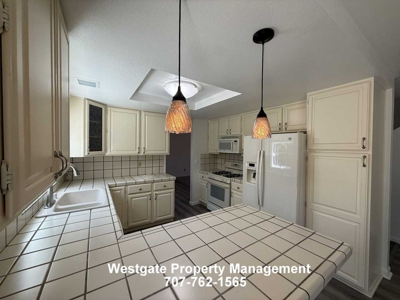 1604 Cerro Sonoma Cir - Photo 4 of 20