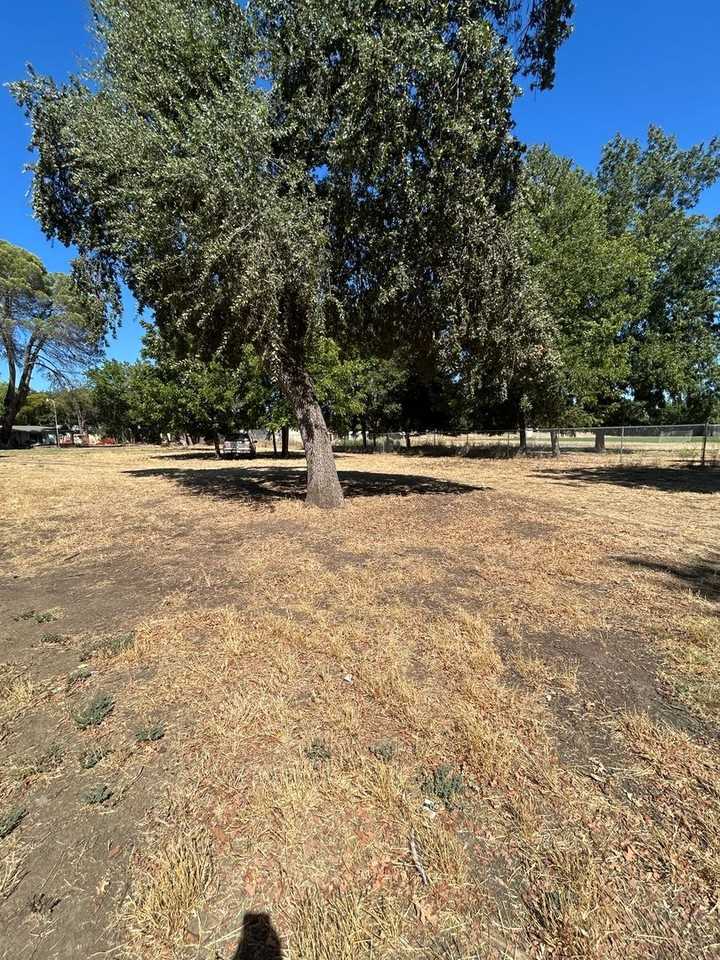 316 Butcher Rd - Photo 3 of 20