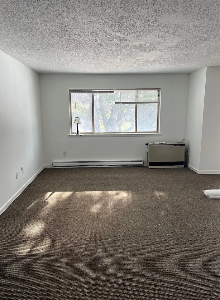 234 Quarry Hill Rd - Photo 3 of 12