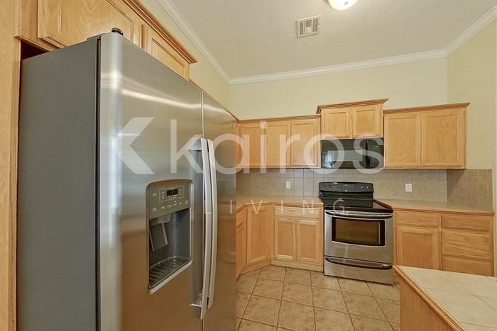 4209 Snowy Owl Dr - Photo 6 of 21