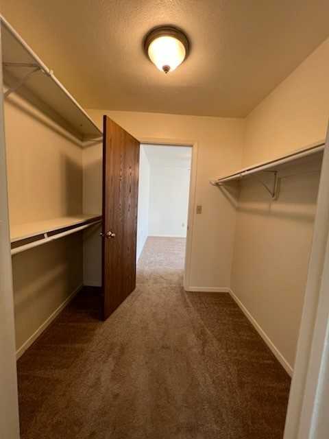 323 Norbeck Ct - Photo 6 of 10